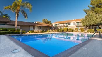 The Springs pool view with lounging area and trees all around